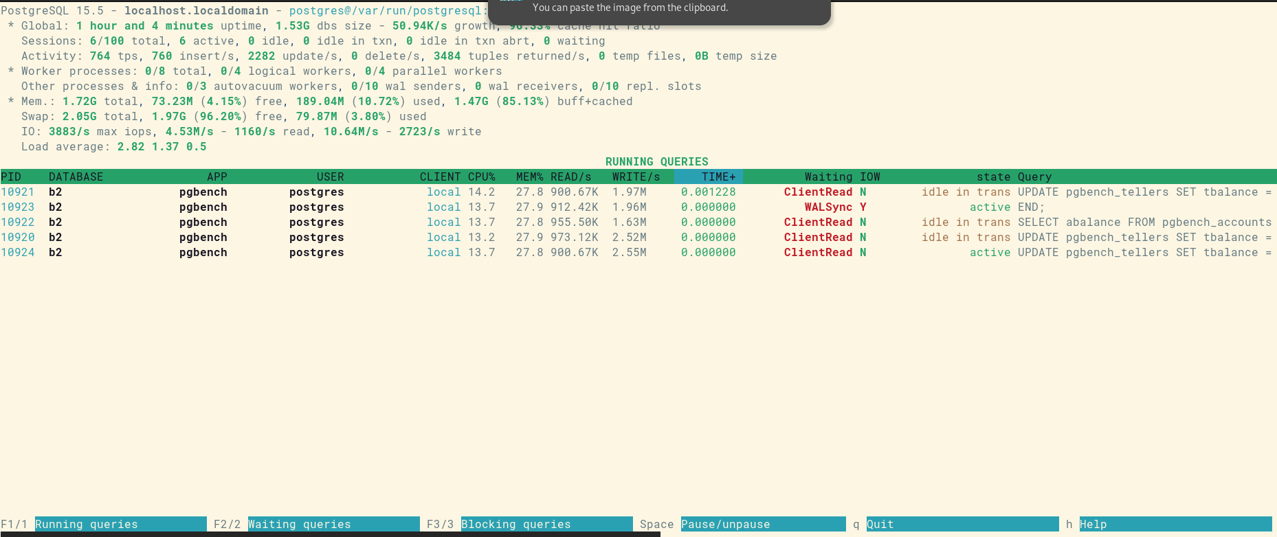 Fig. 1 : pg_activity en action